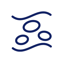 cholesterol icon