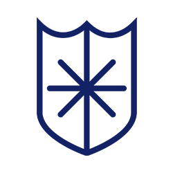 immune system icon
